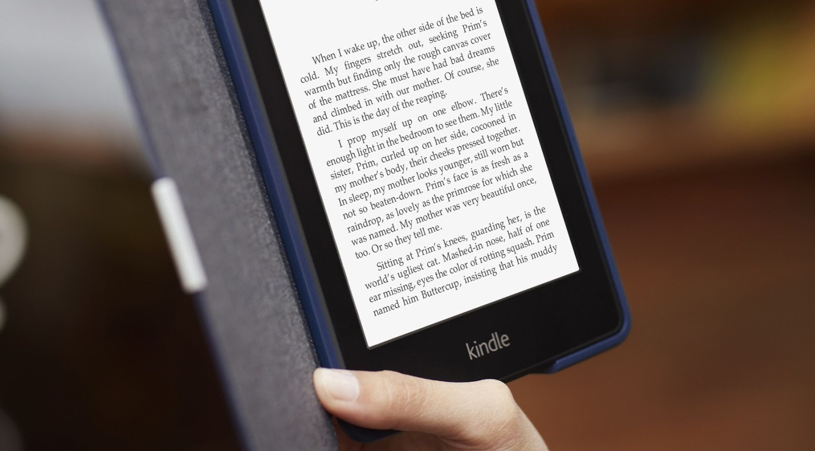 Електронні книги Kindle викликають «синій екран смерті» в Windows 10